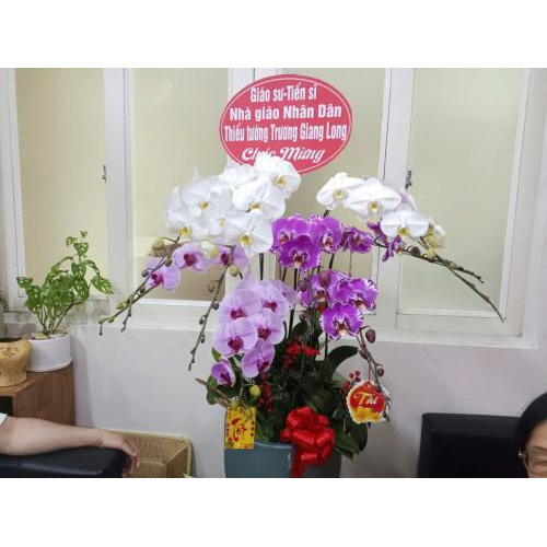 Cam kết An sinh Xã hội và Chăm lo Đời sống Hội viên